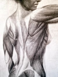 artworkAlt